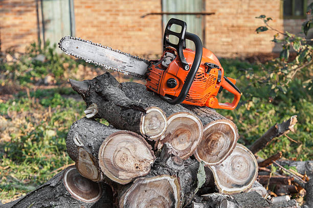 Best Commercial Tree Services  in Prairie Ridge, WA